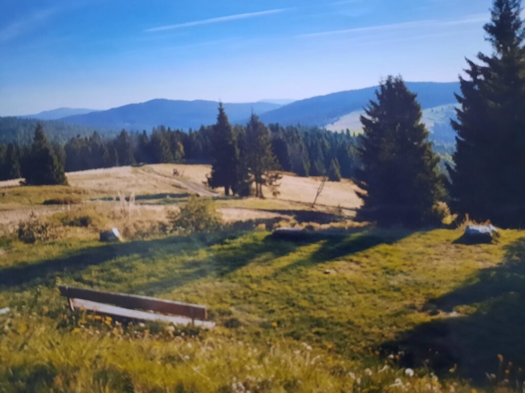 Zdjęcie Krzysztofa Pabiana, który zajął 2 miejsce