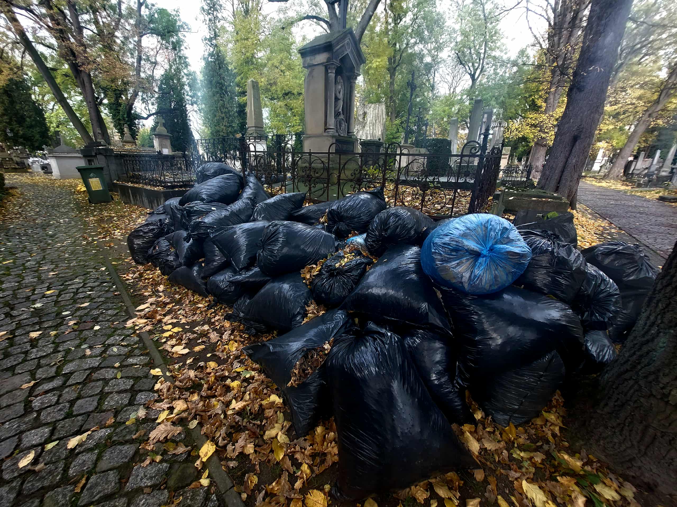 Akcja sprzątania Starego Cmentarza