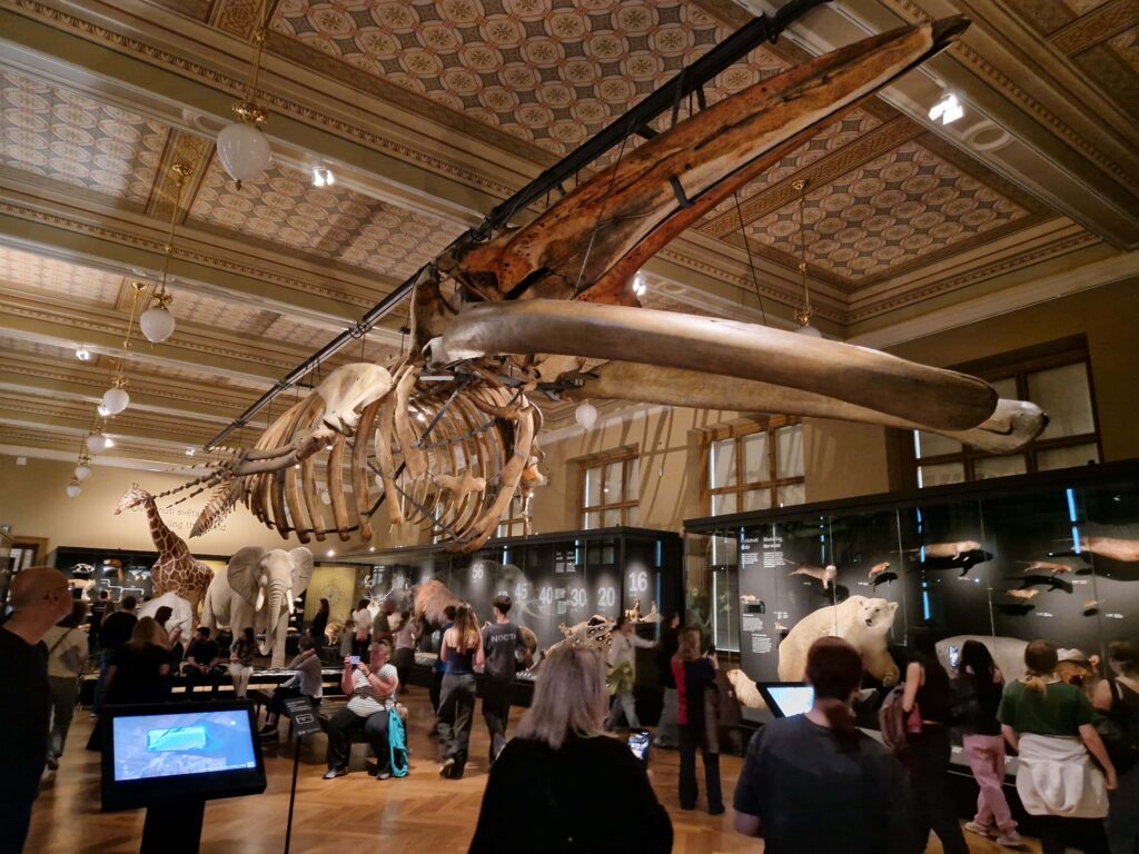 uczniowie w muzeum w Pradze