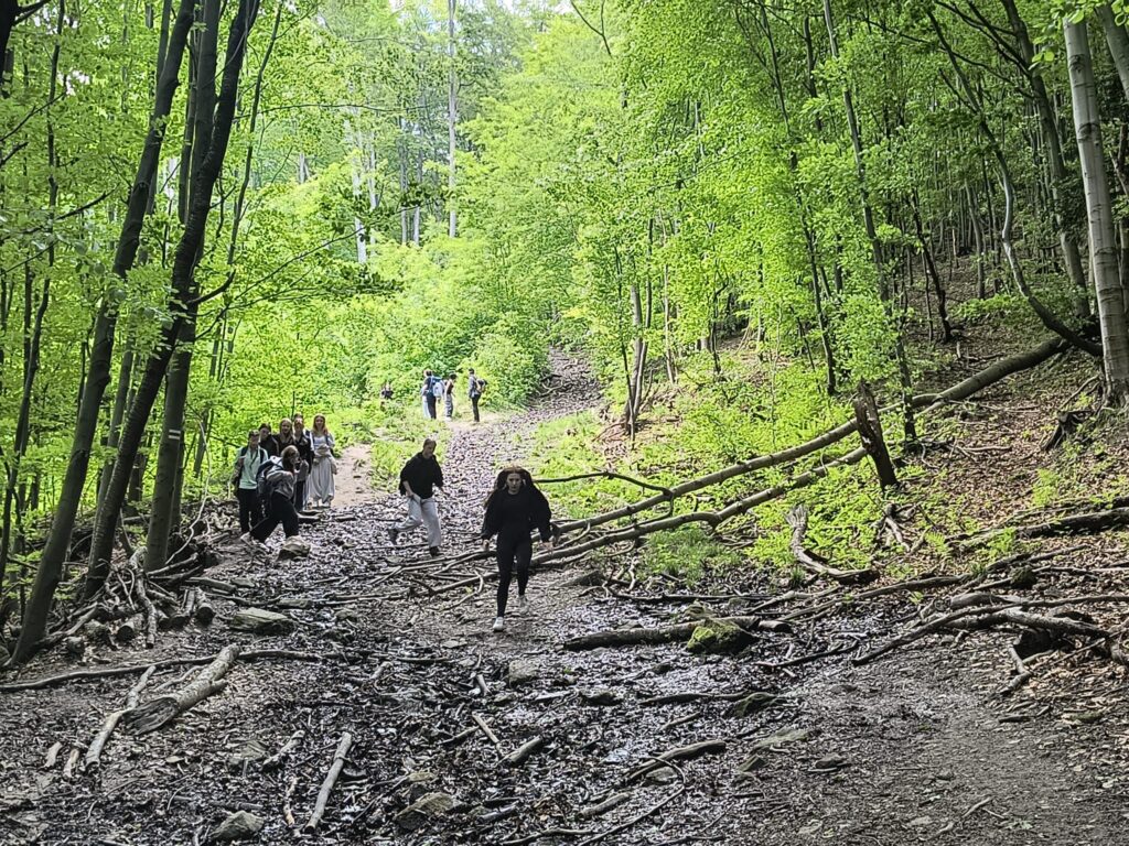 uczennice wspinające się ścieżką górską Beskidu Sądeckiego